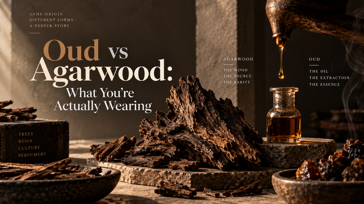 Oud vs Agarwood: What You're Actually Wearing